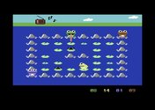 Frogs Trivia