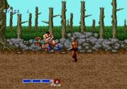 Golden Axe Trivia