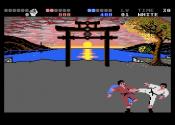 IK+ (International Karate +) Trivia