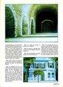 Plan 9 from Outer Space Article