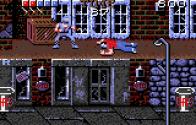 Shadow Warriors Trivia