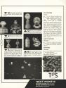 Silkworm Tips