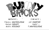 Bunny Bricks Trivia