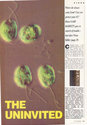 Virus Killer Article
