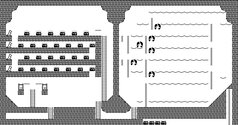 Wizard Royal Trivia