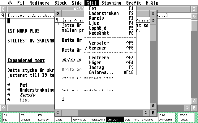 1ST Word Plus atari screenshot