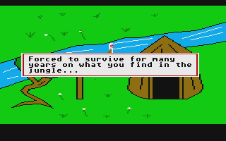 Adventures of a Crazed Hermit (The) atari screenshot