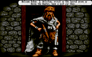 Adventures of Robin Hood (The) — screenshot 7