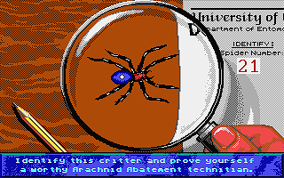 Arachnophobie atari screenshot