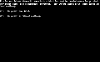 Atari Ausgabe 9 - Adventure atari screenshot