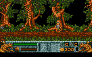 Barbarian II — screenshot 9