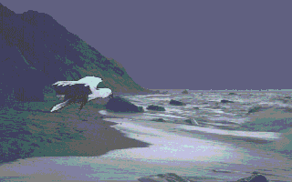 Bird — screenshot 1