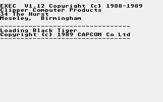 Black Tiger — screenshot 1