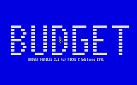 Budget Famille — screenshot 1