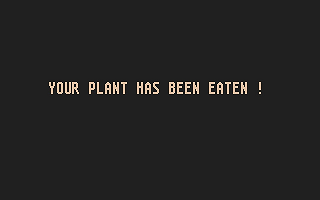 Bug Spray atari screenshot