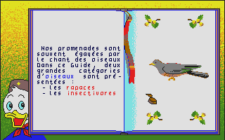Castors Juniors dans la Forêt (Les) atari screenshot
