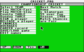 Championship Cricket atari screenshot