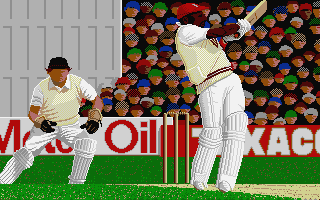 Championship Cricket atari screenshot