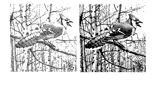 Clip Art Disk 04 - Bikes and Birds atari screenshot