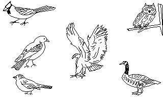 Clip Art Disk 04 - Bikes and Birds atari screenshot