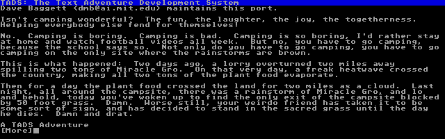Damp Camp — screenshot 1
