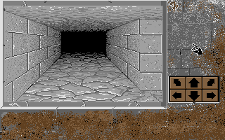 Dangimere Module II - The Dungeon — screenshot 1