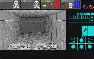 Dungeon Master atari screenshot