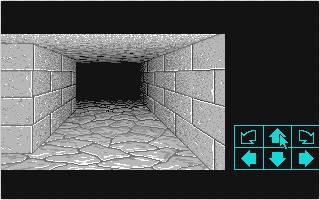 Dungeon Master atari screenshot