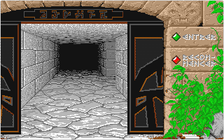 Dungeon Master atari screenshot