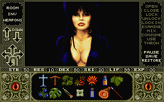 Elvira - Mistress of the Dark — screenshot 3