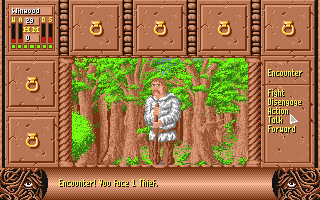 Fate - Gates of Dawn — screenshot 4