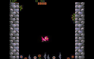 Fly Robin Fly atari screenshot