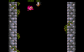 Fly Robin Fly atari screenshot