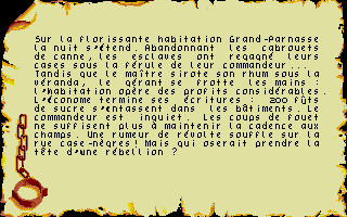 Freedom - Les Guerriers de l'Ombre / die Krieger des Schattens atari screenshot