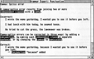 Grammar Expert — screenshot 1