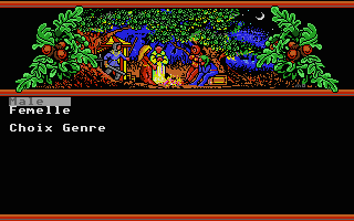 Hillsfar atari screenshot