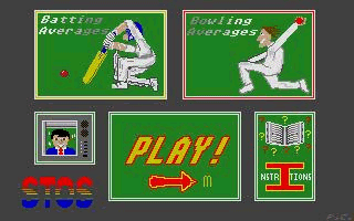 International Cricket — screenshot 1