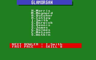 International Cricket 2 atari screenshot
