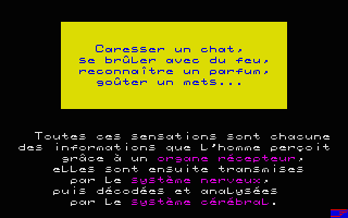 À la Découverte de l'Homme atari screenshot