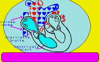 Château du Monstre (Le) atari screenshot