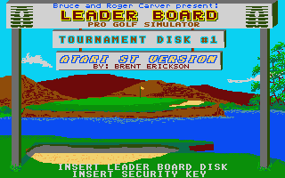 Leader Board Birdie — screenshot 1