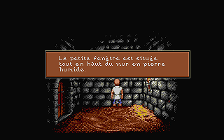 Lure of the Temptress atari screenshot