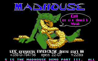 Madhouse Demo Part III — screenshot 1