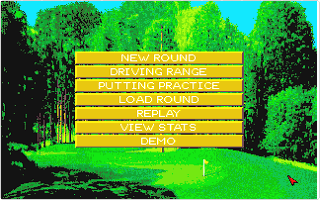 Microprose Golf — screenshot 2