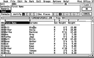 Mini Office Professional Spreadsheet atari screenshot