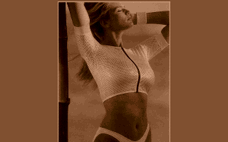 Mötley 4 — screenshot 1