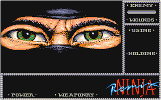 Ninja Remix — screenshot 1