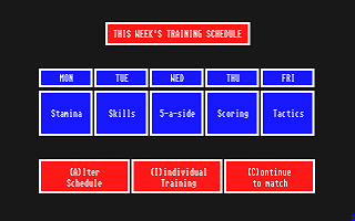 Premier Soccer atari screenshot