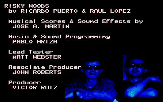 Risky Woods atari screenshot