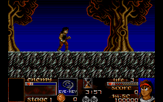 Risky Woods atari screenshot